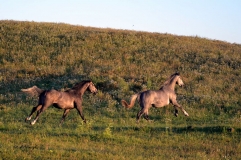 DSC_0019.JPG
